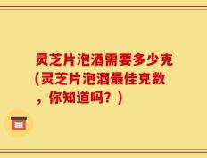 灵芝片泡酒需要多少克(灵芝片泡酒最佳克数，你知道吗？)