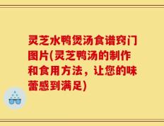 灵芝水鸭煲汤食谱窍门图片(灵芝鸭汤的制作和食用方法，让您的味蕾感到满足)