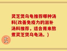 灵芝煲乌龟推荐哪种汤料(改善免疫力的滋补汤料推荐，适合用来熬煮灵芝煲乌龟汤。)