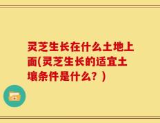 灵芝生长在什么土地上面(灵芝生长的适宜土壤条件是什么？)