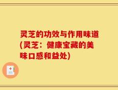 灵芝的功效与作用味道(灵芝：健康宝藏的美味口感和益处)