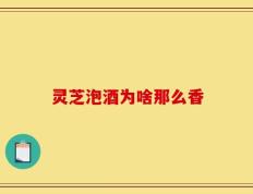 灵芝泡酒为啥那么香