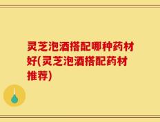 灵芝泡酒搭配哪种药材好(灵芝泡酒搭配药材推荐)