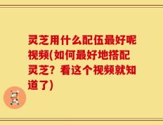灵芝用什么配伍最好呢视频(如何最好地搭配灵芝？看这个视频就知道了)