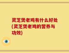 灵芝煲老鸡有什么好处(灵芝煲老鸡的营养与功效)