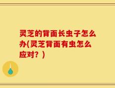 灵芝的背面长虫子怎么办(灵芝背面有虫怎么应对？)