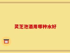 灵芝泡酒用哪种水好