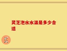 灵芝泡水水温是多少合适
