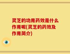 灵芝的功用药效是什么作用呢(灵芝的药效及作用简介)