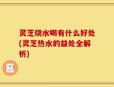 灵芝烧水喝有什么好处(灵芝热水的益处全解析)