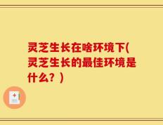 灵芝生长在啥环境下(灵芝生长的最佳环境是什么？)