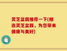 灵芝盆栽推荐一下(精选灵芝盆栽，为您带来健康与美好)
