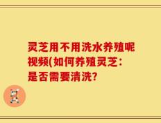 灵芝用不用洗水养殖呢视频(如何养殖灵芝：是否需要清洗？