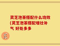 灵芝泡茶搭配什么功效(灵芝泡茶搭配增壮补气 好处多多