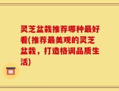 灵芝盆栽推荐哪种最好看(推荐最美观的灵芝盆栽，打造格调品质生活)