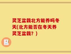 灵芝盆栽北方能养吗冬天(北方能否在冬天养灵芝盆栽？)