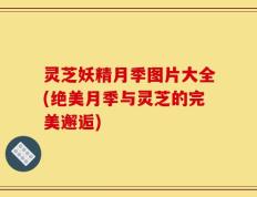 灵芝妖精月季图片大全(绝美月季与灵芝的完美邂逅)
