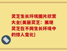 灵芝生长坏境图片欣赏大全(美丽灵芝：展现灵芝在不同生长环境中的惊人变化)
