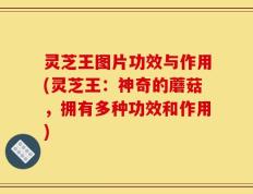 灵芝王图片功效与作用(灵芝王：神奇的蘑菇，拥有多种功效和作用)