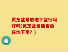 灵芝盆景放地下室行吗好吗(灵芝盆景能否放在地下室？)