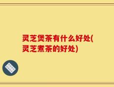 灵芝煲茶有什么好处(灵芝煮茶的好处)
