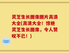 灵芝生长图像图片高清大全(高清大全！惊艳灵芝生长图像，令人赞叹不已！)