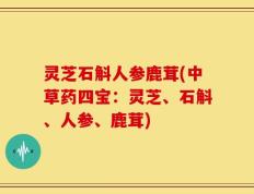 灵芝石斛人参鹿茸(中草药四宝：灵芝、石斛、人参、鹿茸)