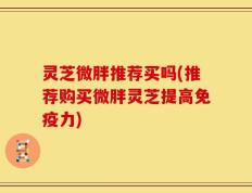 灵芝微胖推荐买吗(推荐购买微胖灵芝提高免疫力)
