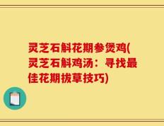 灵芝石斛花期参煲鸡(灵芝石斛鸡汤：寻找最佳花期拔草技巧)