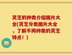 灵芝的种类介绍图片大全(灵芝分类图片大全，了解不同种类的灵芝特点！)
