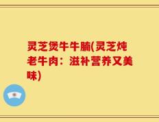 灵芝煲牛牛腩(灵芝炖老牛肉：滋补营养又美味)