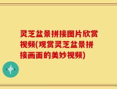 灵芝盆景拼接图片欣赏视频(观赏灵芝盆景拼接画面的美妙视频)
