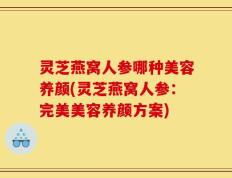 灵芝燕窝人参哪种美容养颜(灵芝燕窝人参：完美美容养颜方案)