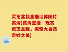 灵芝盆栽直播活体图片高清(高清直播：观赏灵芝盆栽，探索大自然奇妙之美)