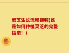 灵芝生长流程视频(这是如何种植灵芝的完整指南！)