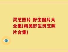 灵芝照片 野生图片大全集(精美野生灵芝照片合集)