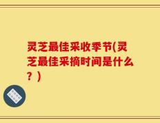 灵芝最佳采收季节(灵芝最佳采摘时间是什么？)