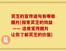 灵芝的宣传语句有哪些图片(探索灵芝的效益 —— 这些宣传图片让你了解灵芝的价值)
