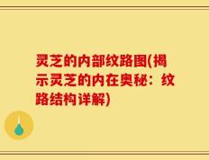 灵芝的内部纹路图(揭示灵芝的内在奥秘：纹路结构详解)
