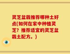 灵芝盆栽推荐哪种土好点(如何在家中种植灵芝？推荐适宜的灵芝盆栽土配方。)