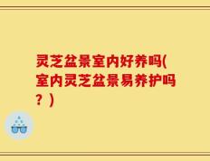 灵芝盆景室内好养吗(室内灵芝盆景易养护吗？)