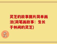灵芝的故事图片简单画法(简笔画故事：生长于林间的灵芝)
