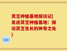 灵芝种植基地探访记(走进灵芝种植基地：探访灵芝生长的神奇之处)