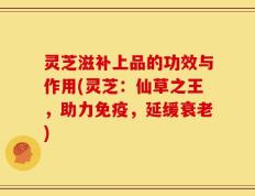 灵芝滋补上品的功效与作用(灵芝：仙草之王，助力免疫，延缓衰老)