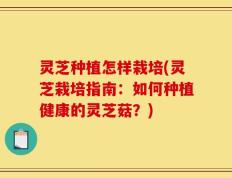 灵芝种植怎样栽培(灵芝栽培指南：如何种植健康的灵芝菇？)
