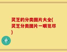 灵芝的分类图片大全(灵芝分类图片一眼览尽)