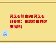 灵芝石斛白鸽(灵芝石斛养生：白鸽带来的健康福利)