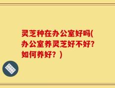 灵芝种在办公室好吗(办公室养灵芝好不好？如何养好？)