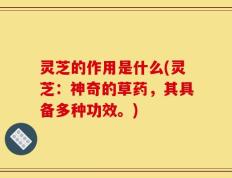 灵芝的作用是什么(灵芝：神奇的草药，其具备多种功效。)