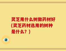 灵芝用什么树做药材好(灵芝药材选用的树种是什么？)